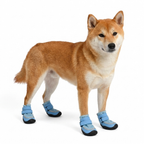 Summer Breathable Dog Boots