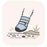 Rough Surface Protection