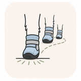 Older Dogs & Careful Steps