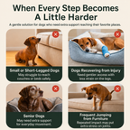 Jade Paw CompanionStep™