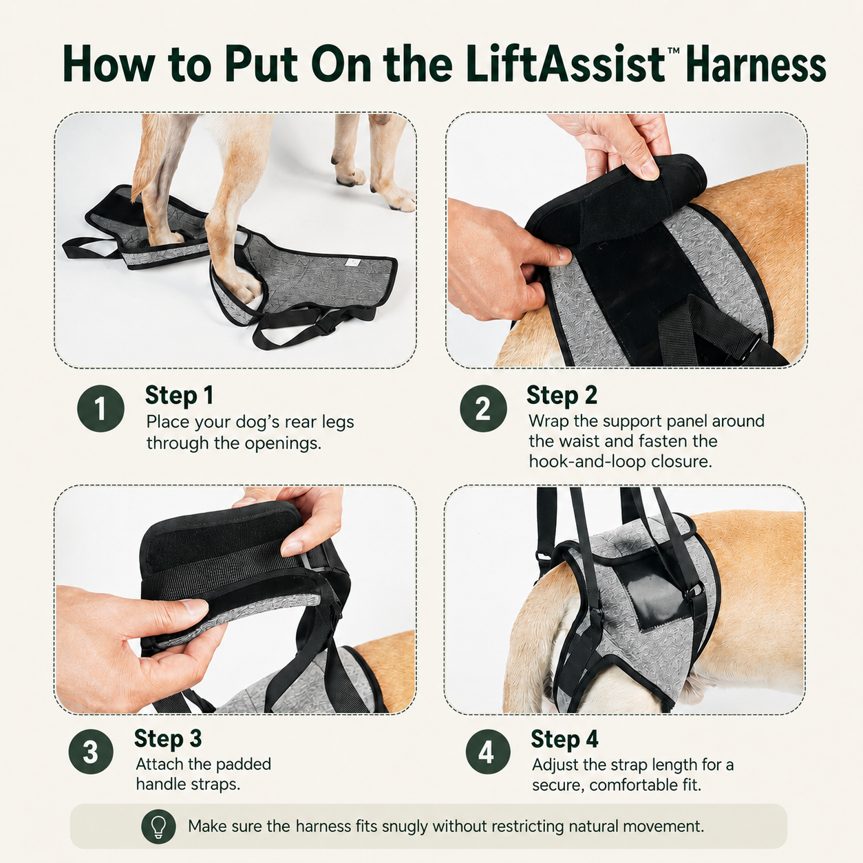 Jade Paw LiftAssist™