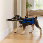 Jade Paw HaloGuard™