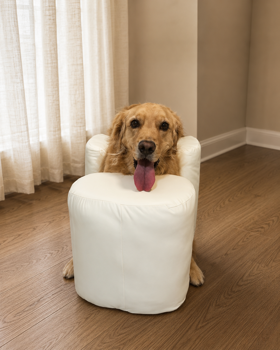 Dog wearing paw protection for an everyday walk