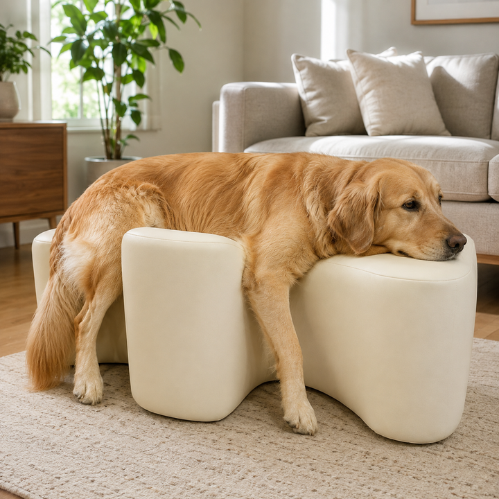 Posture Support for Joint Comfort