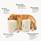 Jade Paw Comfort Support Cushion