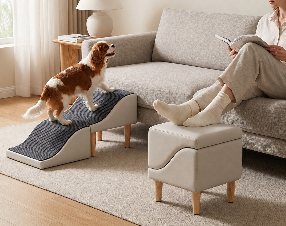 Jade Paw CompanionStep