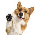 Dog Paw Grip Pads