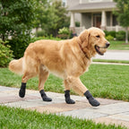 Jade Paw Outdoor Grip Socks