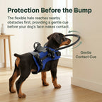 Jade Paw HaloGuard™