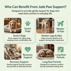 Jade Paw Comfort Support Cushion