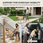Jade Paw LiftAssist™