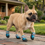 Summer Breathable Dog Boots