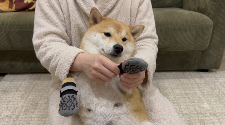 Slide On the Sock